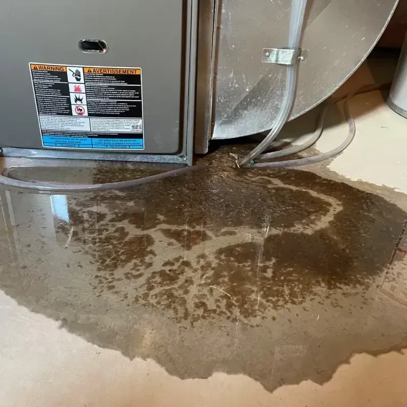 Appliance Leak Cleanup in Highland County, VA